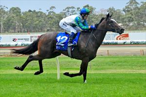 Dream start for Waikato Stud lease package